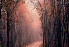 比赛日：萨拉赫创纪录利物浦断崖领跑 马竞翻船皇马追平巴萨.