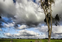 泳将杜维崧叶品秀 连续三年获年度最佳残障运动员.