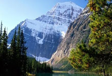 泳将杜维崧叶品秀 连续三年获年度最佳残障运动员.