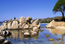 德国队和拜仁为39岁诺伊尔庆生，他拿到过2次欧.